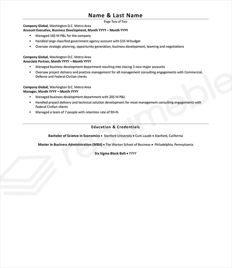 CEO resume example page 2