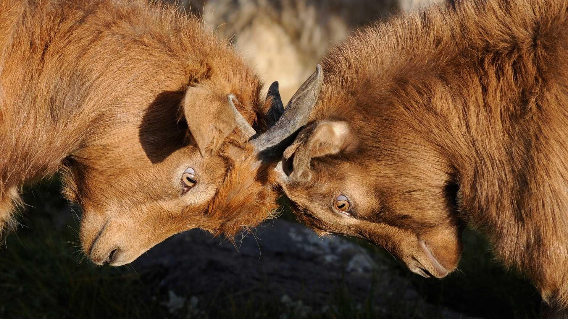 ​How to Deal with a Difficult Colleague