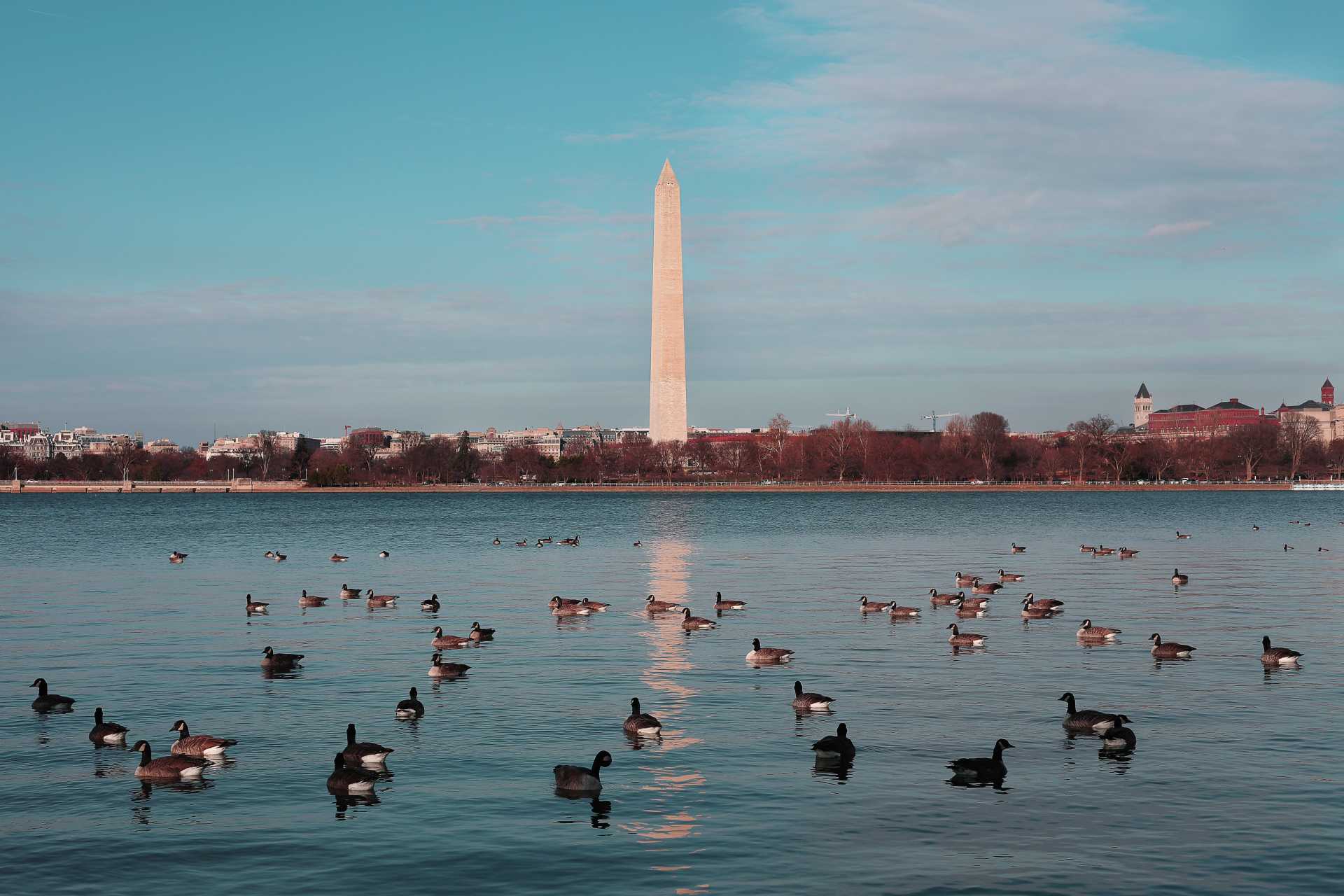 9 Critical Things to Ensure in Your Federal Job Resume