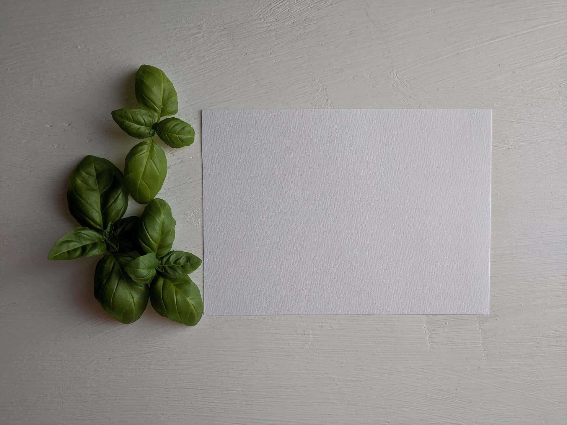 What’s the Actual Standard of Resume Paper