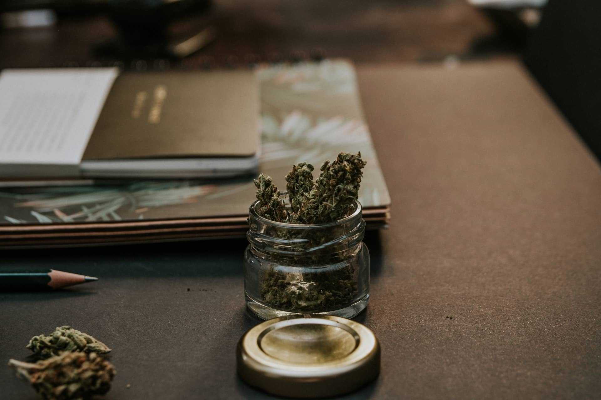 Exploring the Cannabis Industry: Challenges, Growth, and Job Opportunities