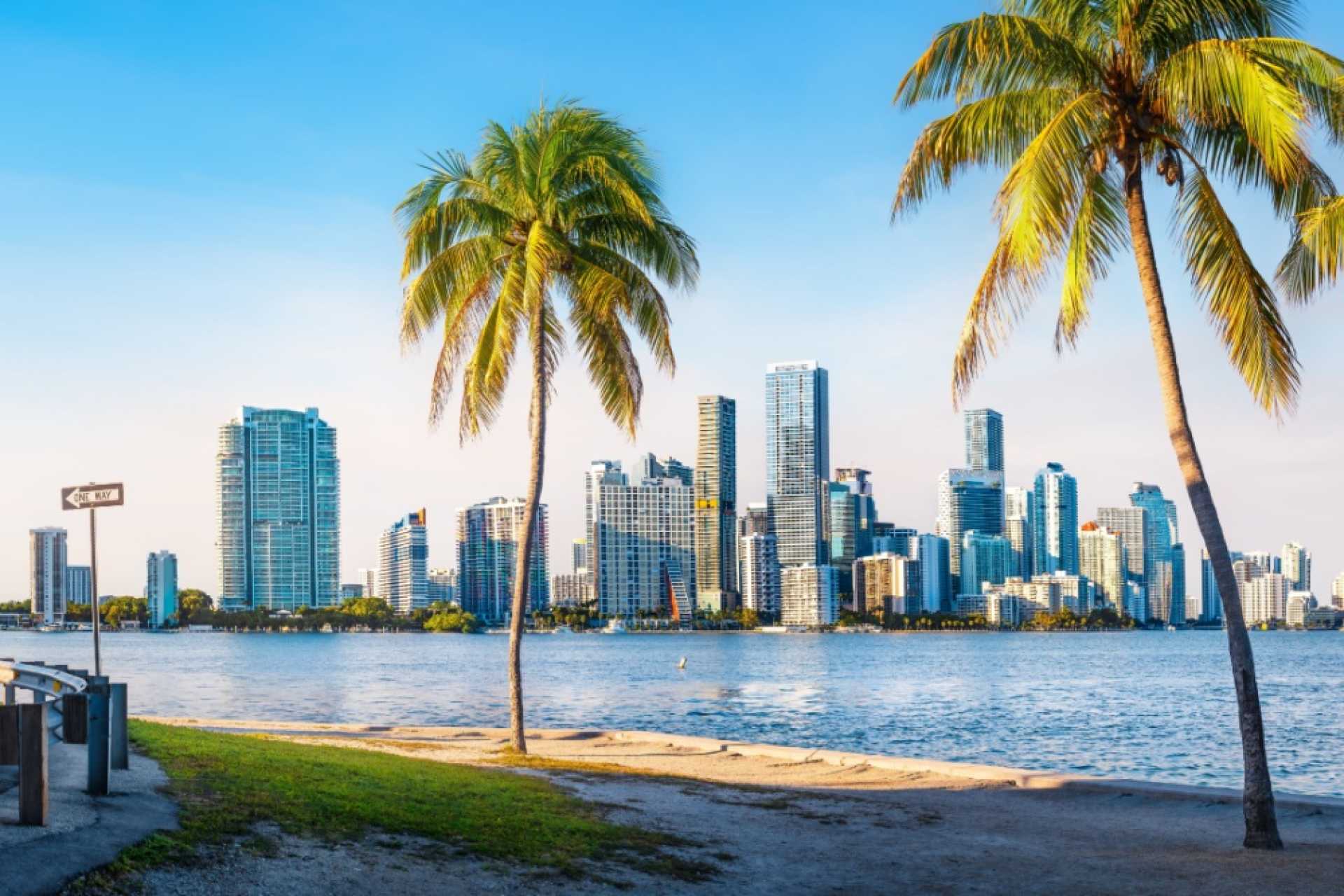 Your Guide to 10 High-Paying Jobs in Florida